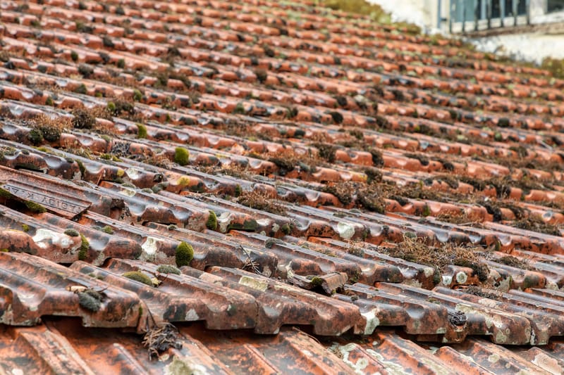 Roof, Achilleion, Gastouri, Corfu, Greece