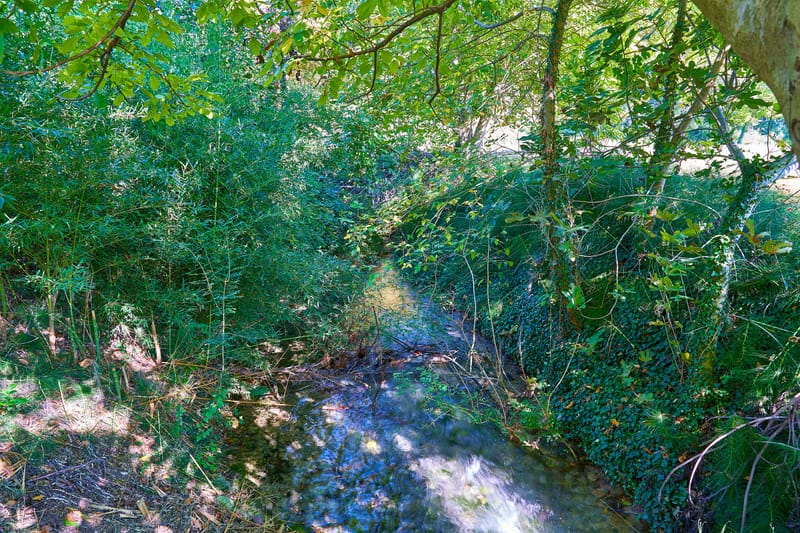 The Sacred Springs of the Dion (Archaeological Park) on October 10, 2020